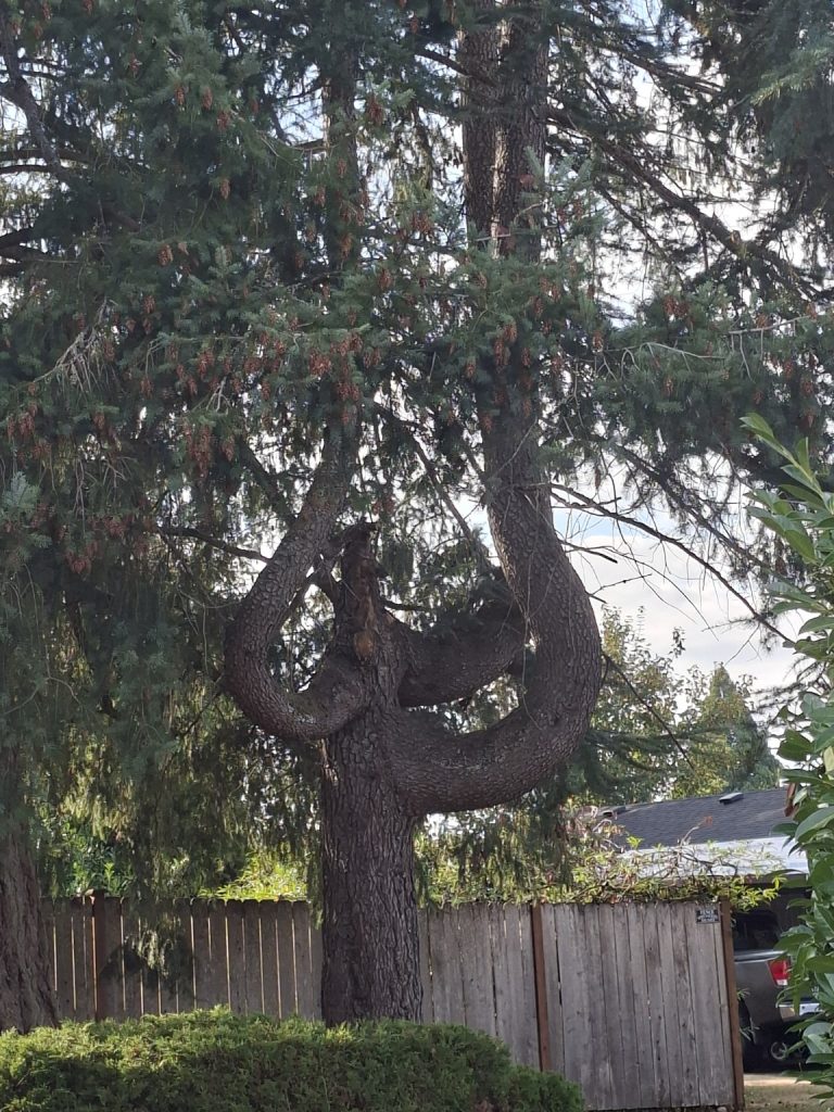 I Grew Anyway